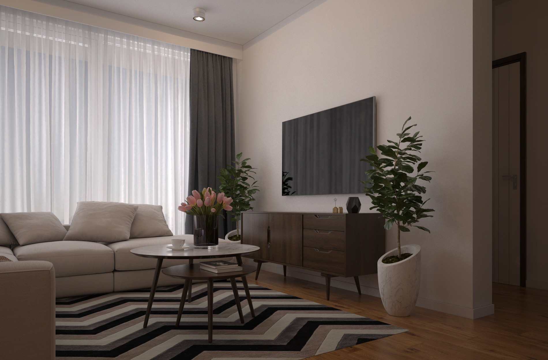 living_room_view_6